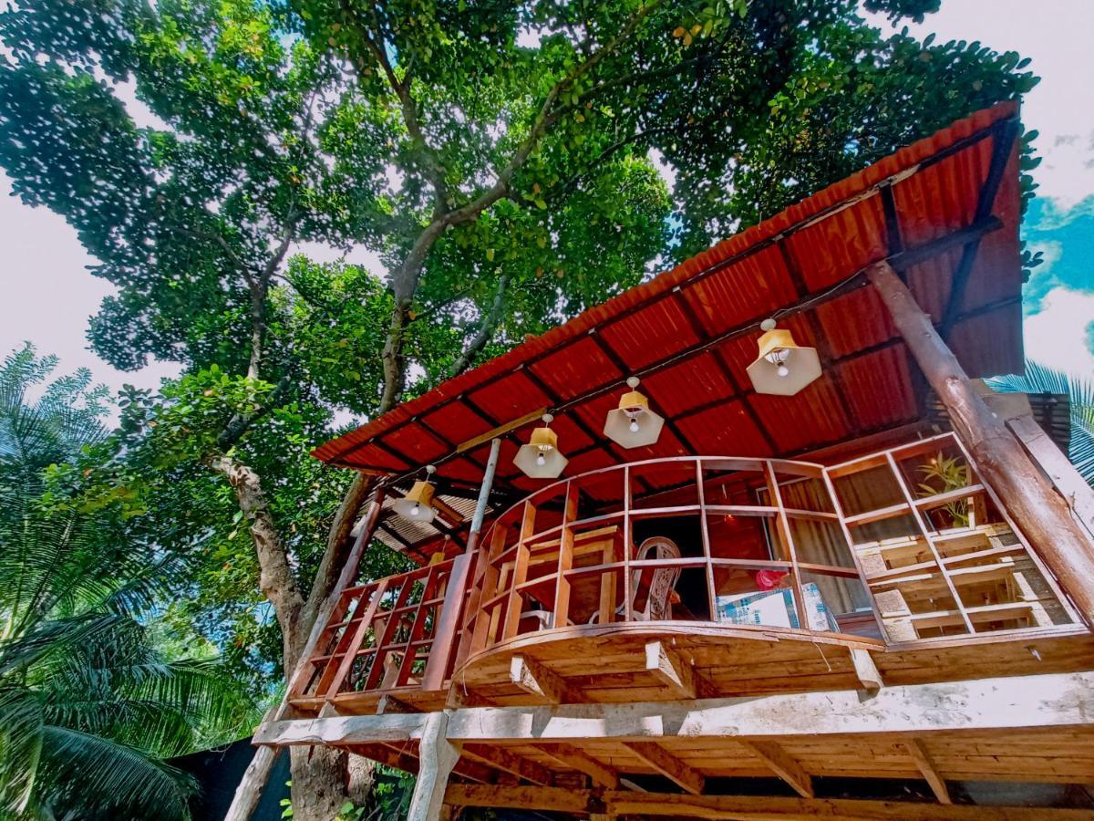 Experience The Comforts Of An Amazing Treehouse Sigiriya Exterior photo